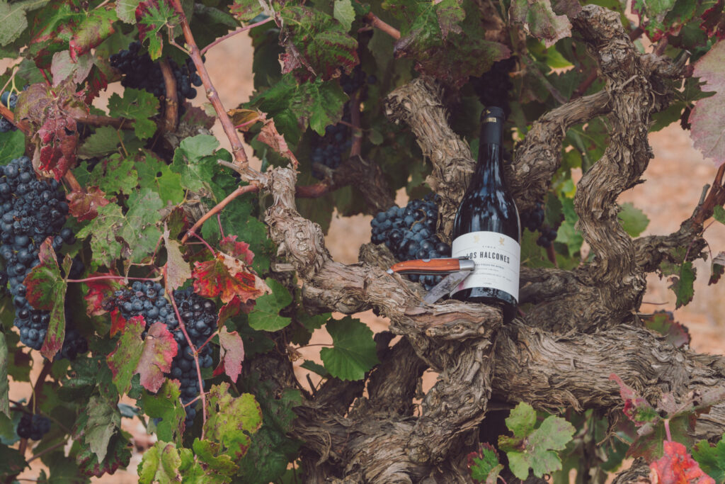 Botella Finca Los Halcones en cepa